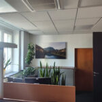 Bedruckte Akustik-Wandpaneele mit individuellem Motiv im Büro