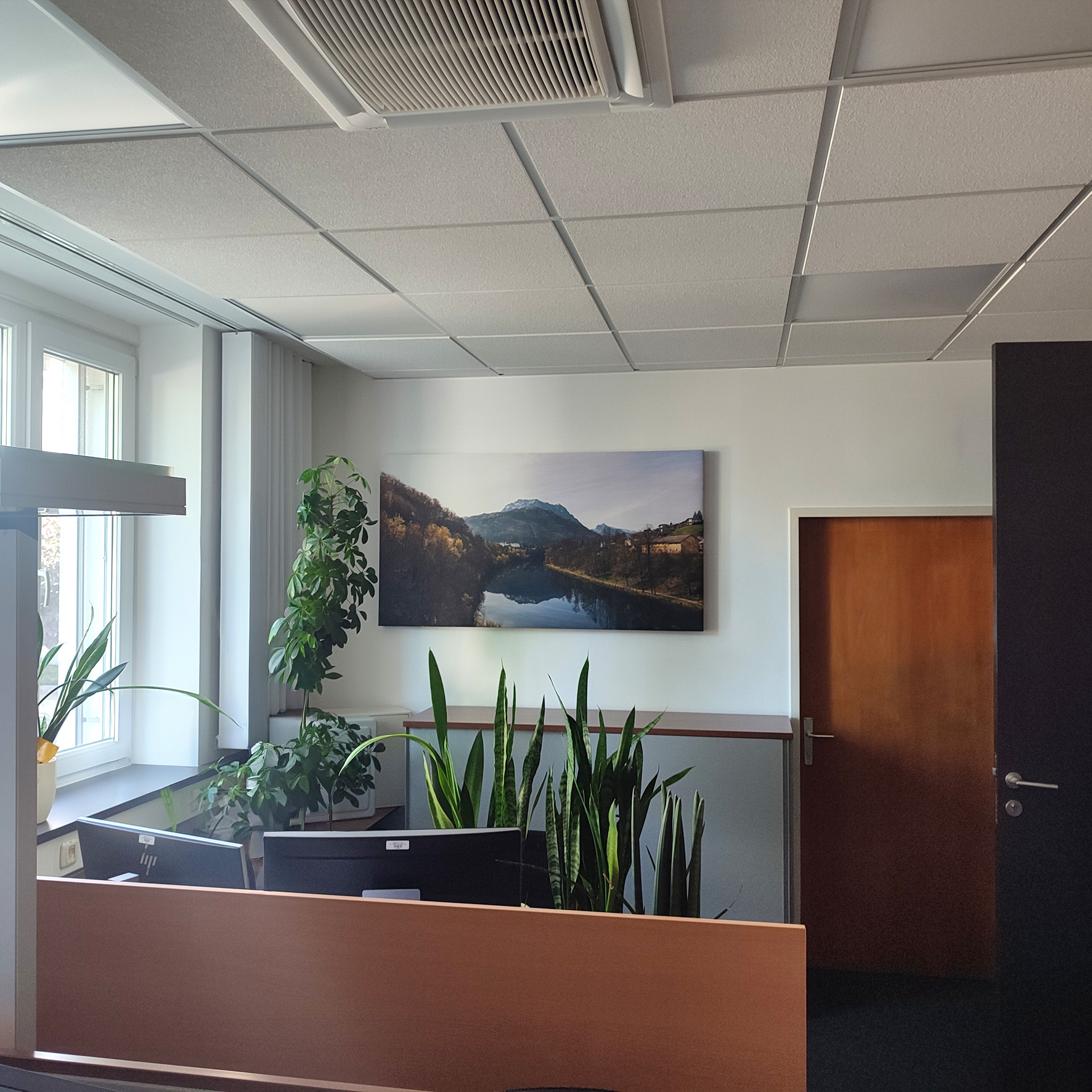 Bedruckte Akustik-Wandpaneele mit individuellem Motiv im Büro