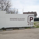 Vielfalt an Plotterschriften in verschiedenen Farben und Formen