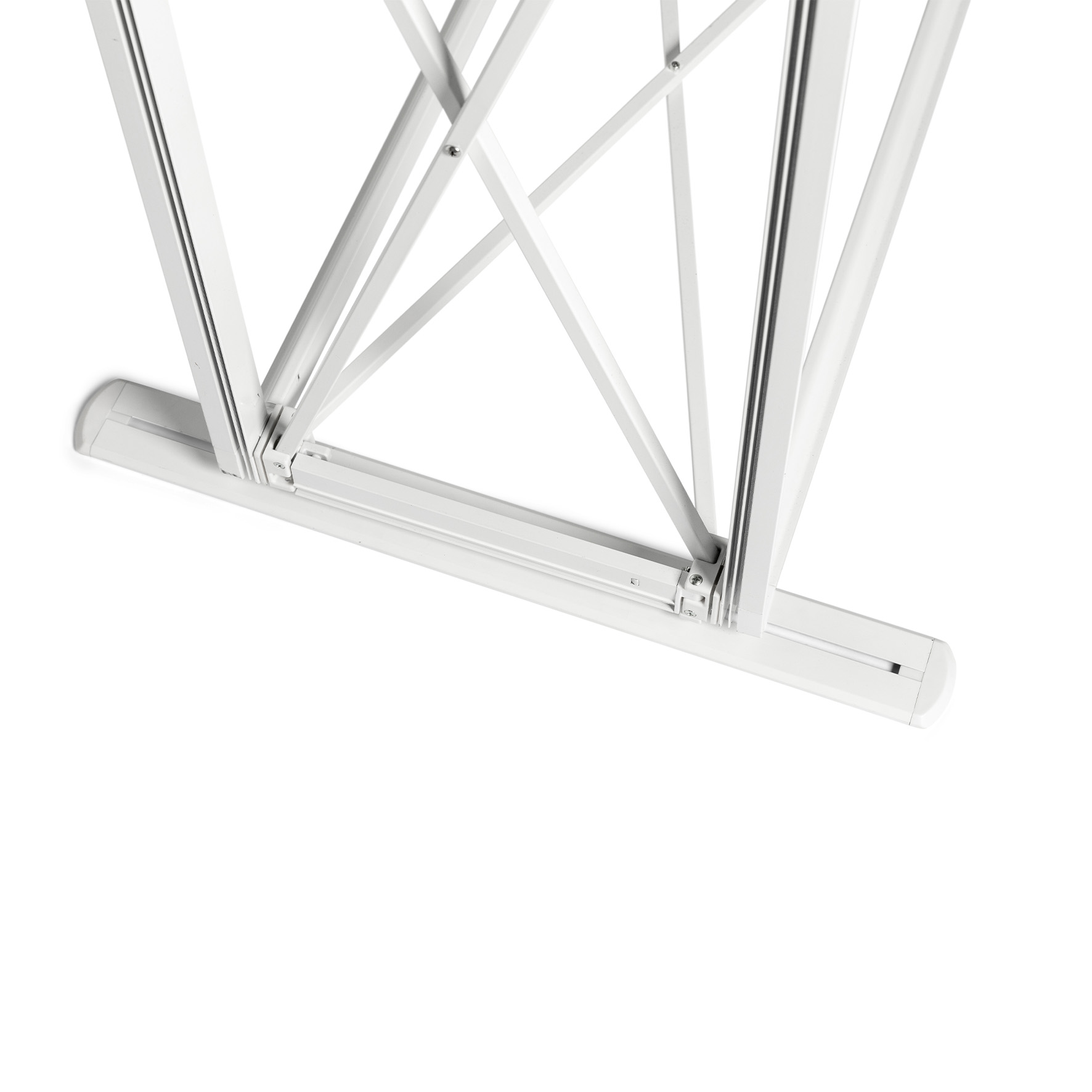 Detailaufnahme der Füße einer Spinnenwand